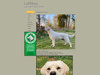 labnova.se snapshot