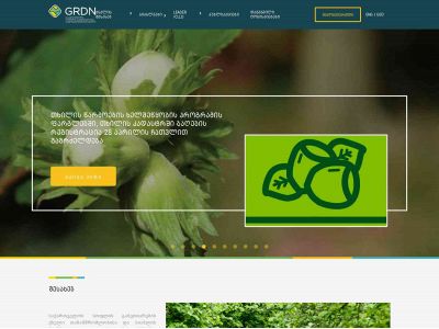 grdn.ge snapshot