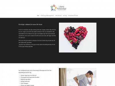 liljanskinesiologi.se snapshot