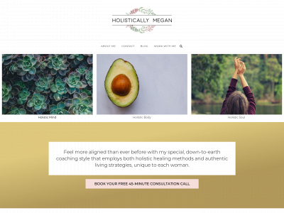 holisticallymegan.com snapshot