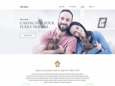 test-seo.biz snapshot
