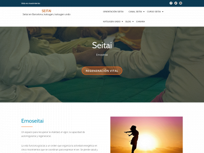 seitai.barcelona snapshot