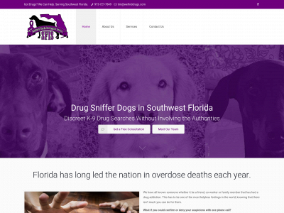 wefinddrugs.com snapshot