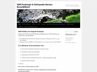 gvnorthopedie.nl snapshot