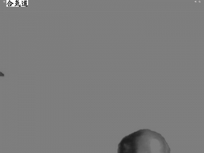 aikidoarteearmonia.ch snapshot