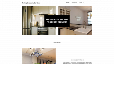 terlingpropertyservices.co.uk snapshot
