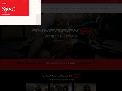 www.synergen3.com snapshot
