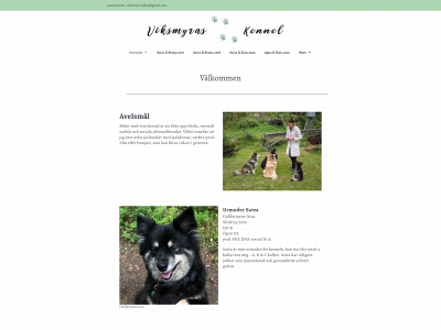 viksmyraskennel.se snapshot