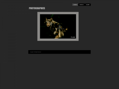 lucileguilbert.com snapshot