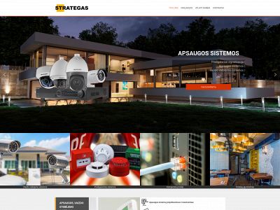 strategas.lt snapshot