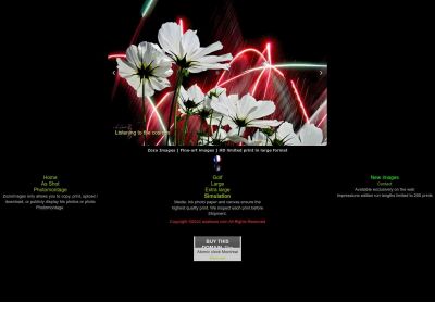 asalesse.com snapshot