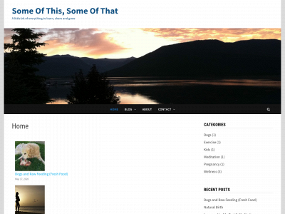 someofthissomeofthat.com snapshot