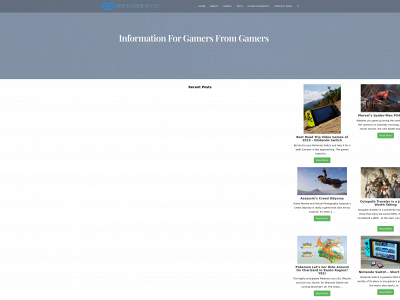 thegamersight.com snapshot