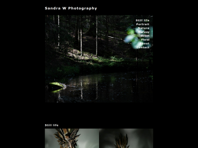 sandrawphotography.com snapshot