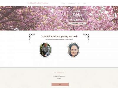 davidandrachelswedding.co.uk snapshot