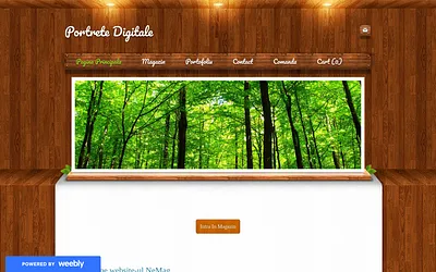 nemag.weebly.com snapshot