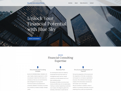 blueskyintfin.com snapshot