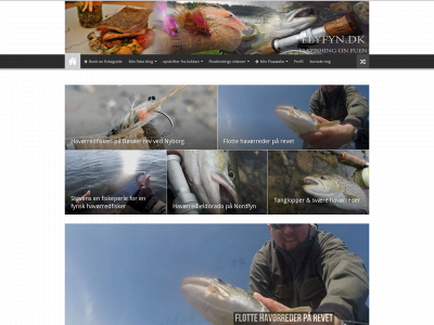 flyfyn.dk snapshot