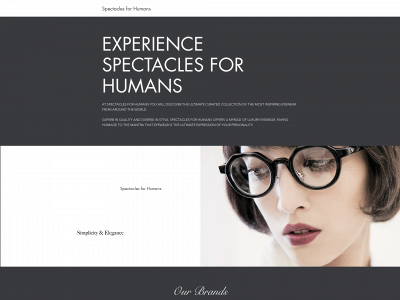 www.spectaclesforhumanssf.com snapshot