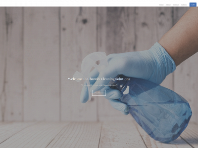 chantiscleaning.com snapshot