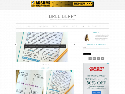breeeberry.com snapshot