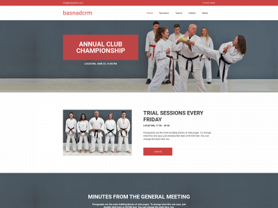 basnadcrm.com snapshot