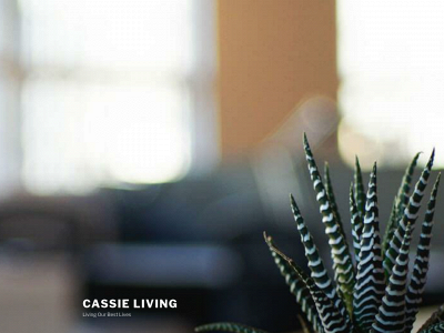 savvyshoppingtips.com snapshot