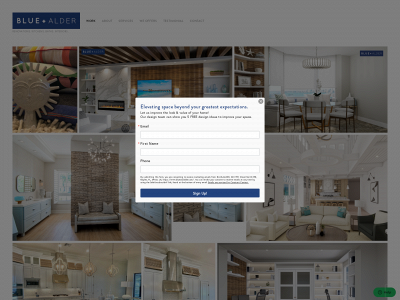 www.blueandalder.com snapshot