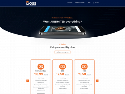 boss-network.co.uk snapshot