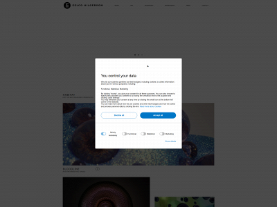 eelcohilgersom.com snapshot