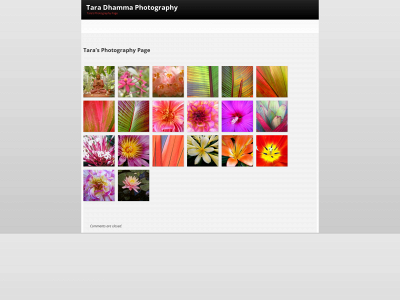 taradhammaphotography.com snapshot