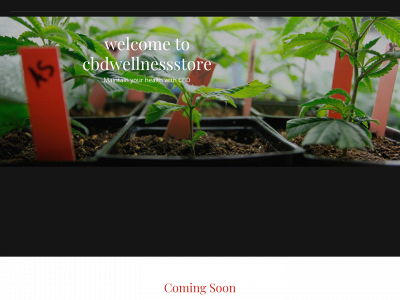 cbdwellnessstore.co.uk snapshot