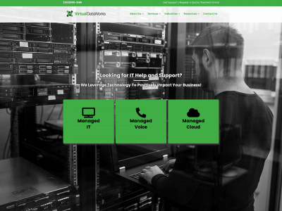 virtualdataworks.com snapshot