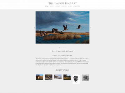 www.billlangisfineart.com snapshot