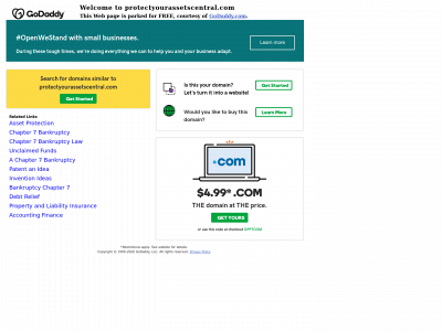 protectyourassetscentral.com snapshot