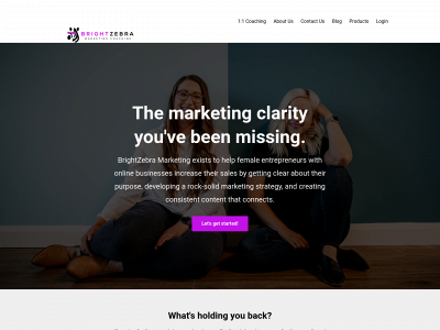 brightzebramarketing.com snapshot