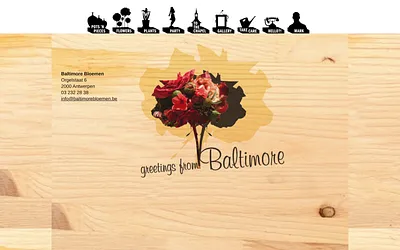 baltimorebloemen.be snapshot