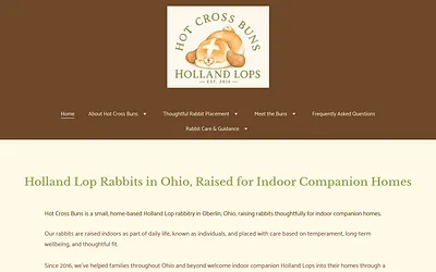hotcrossbuns.org snapshot