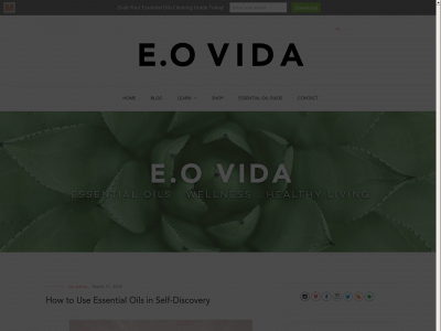 eovida.blog snapshot