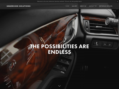 immersion-solutions.com snapshot