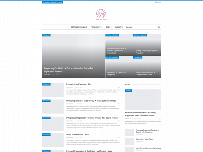 childsmom.com snapshot