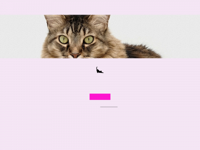 craysidecattery.co.uk snapshot