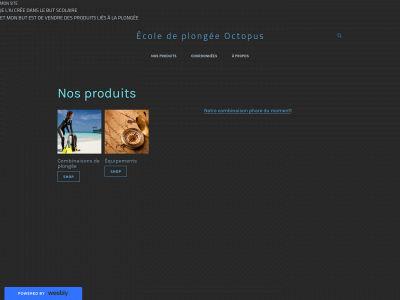 tp1abdellah7.weebly.com snapshot