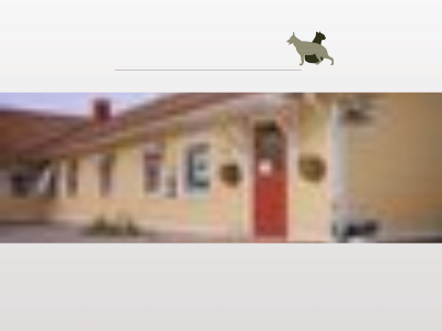 delsboveterinarpraktik.se snapshot