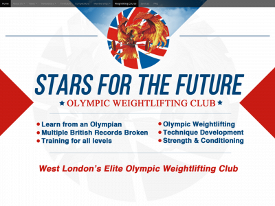 starsforthefuture.com snapshot