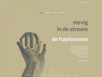 www.stevigindestroom.nl snapshot