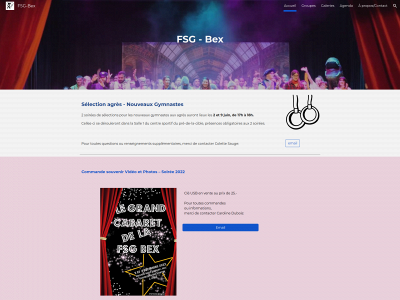 fsg-bex.ch snapshot