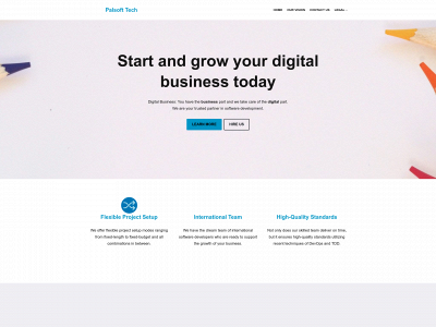 palsoft.tech snapshot