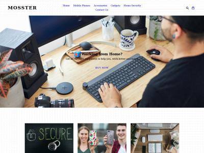 kingmosster.com snapshot