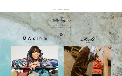 chillyagency.de snapshot